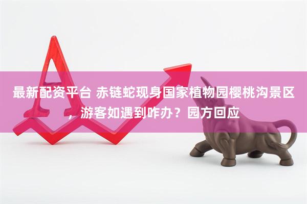 最新配资平台 赤链蛇现身国家植物园樱桃沟景区，游客如遇到咋办？园方回应