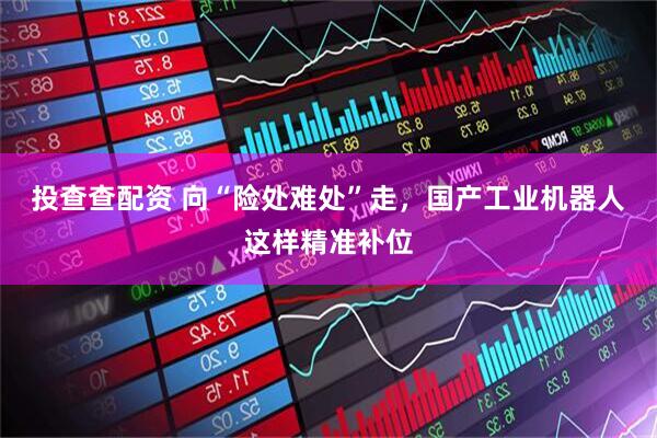 投查查配资 向“险处难处”走，国产工业机器人这样精准补位
